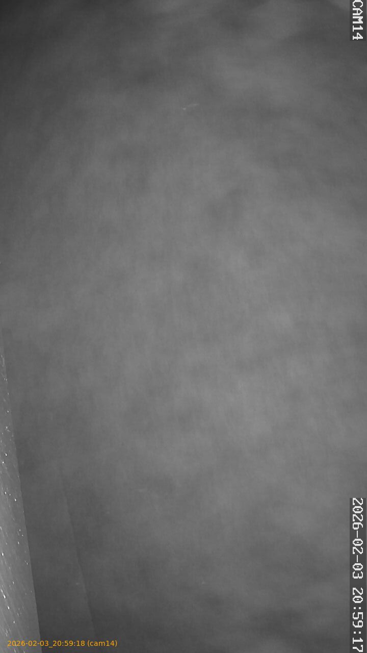 thumbnail_20260203205918