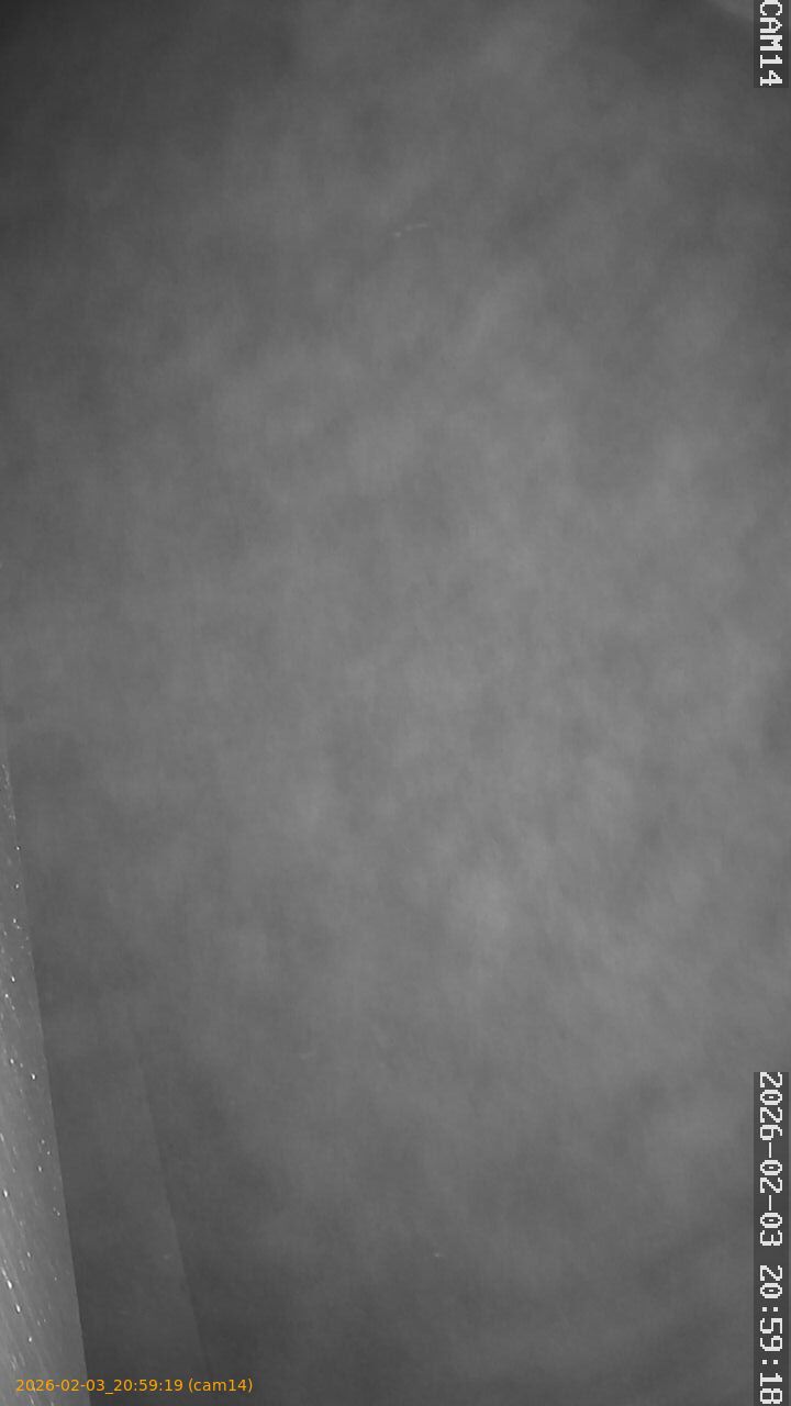 thumbnail_20260203205919