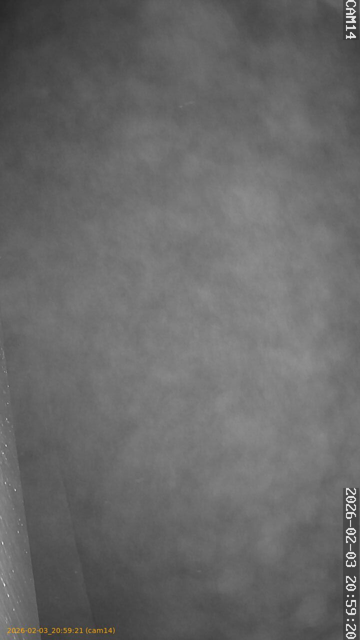 thumbnail_20260203205921