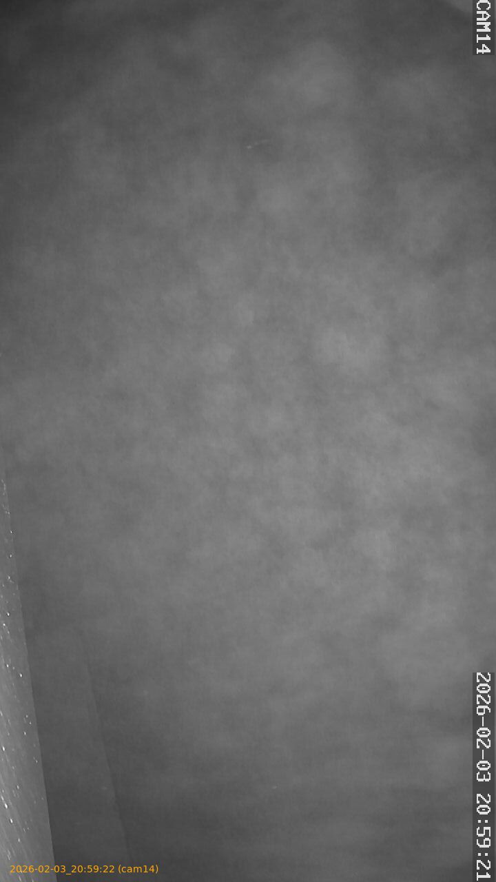 thumbnail_20260203205922