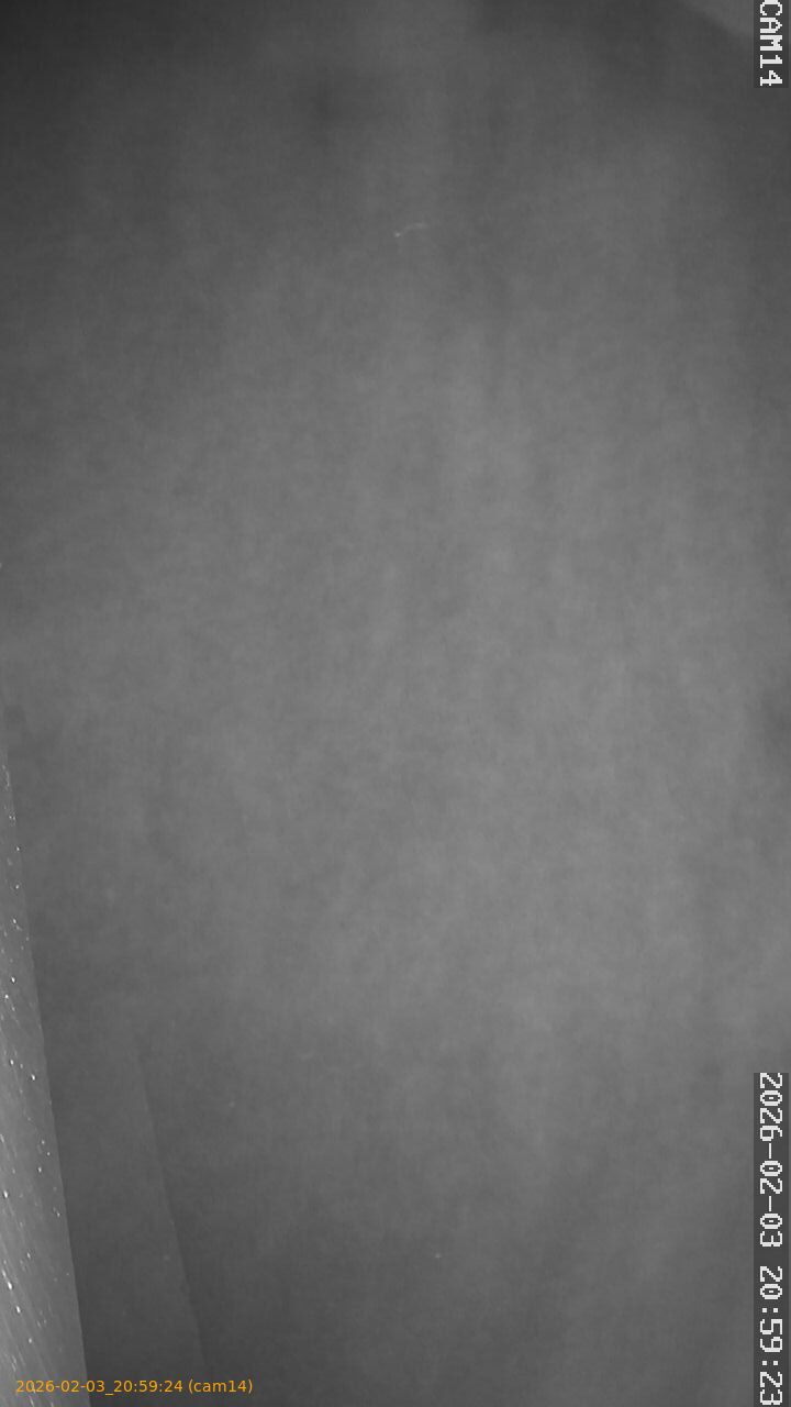 thumbnail_20260203205924