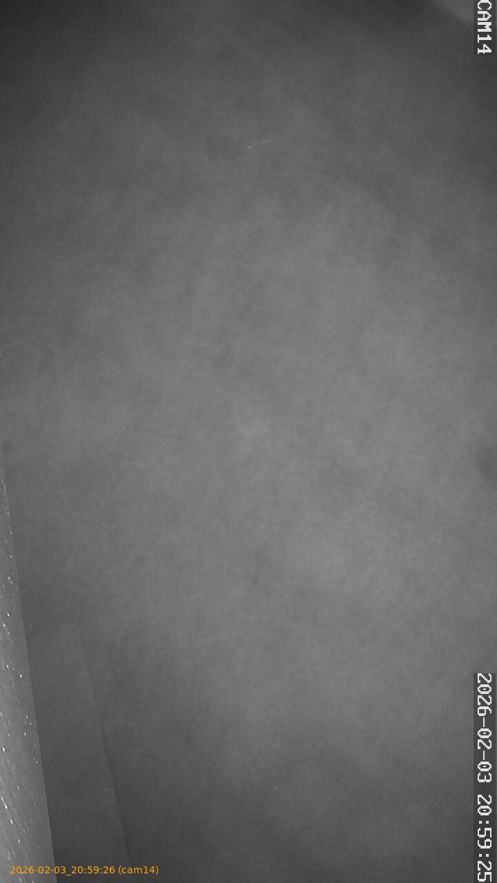 thumbnail_20260203205926