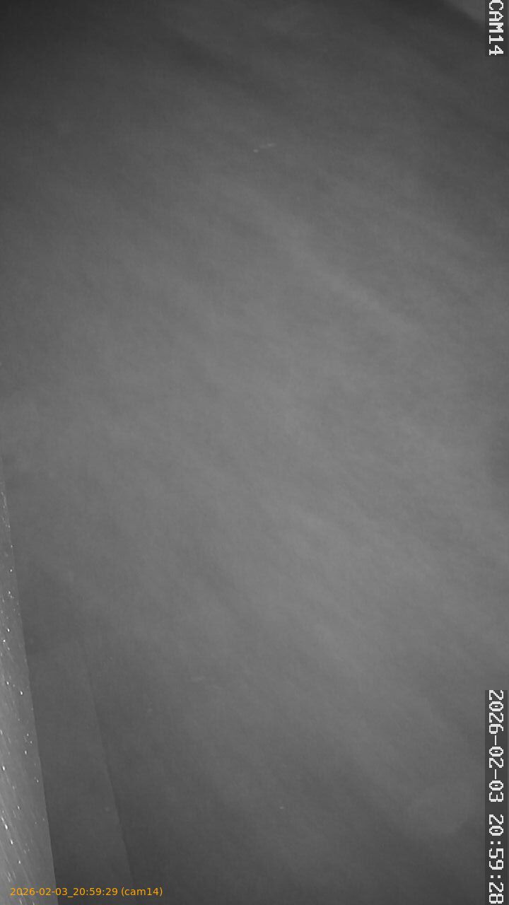 thumbnail_20260203205929