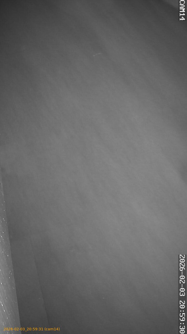 thumbnail_20260203205931