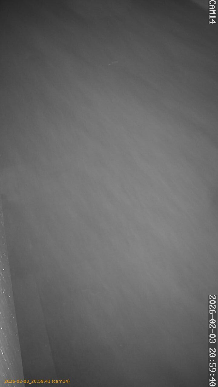 thumbnail_20260203205941