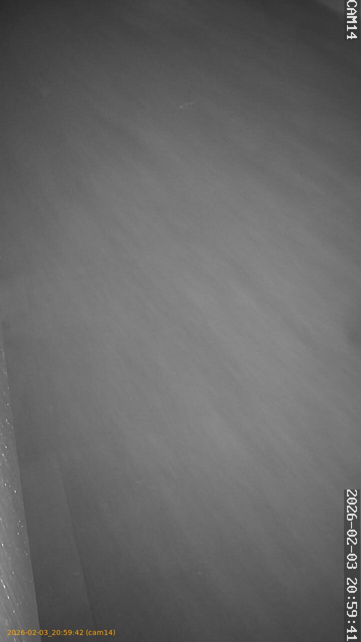 thumbnail_20260203205942