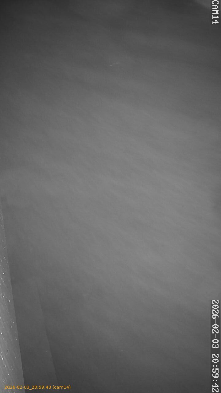 thumbnail_20260203205943