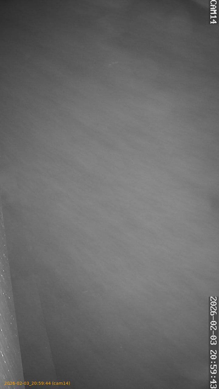 thumbnail_20260203205944