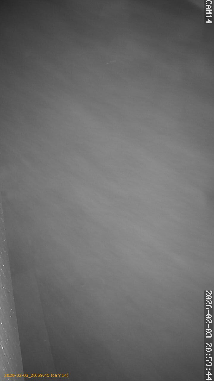 thumbnail_20260203205945