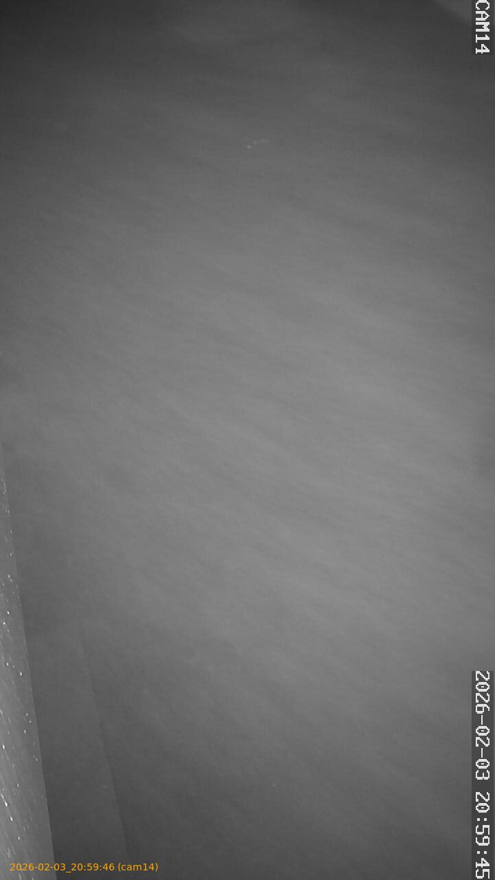 thumbnail_20260203205946