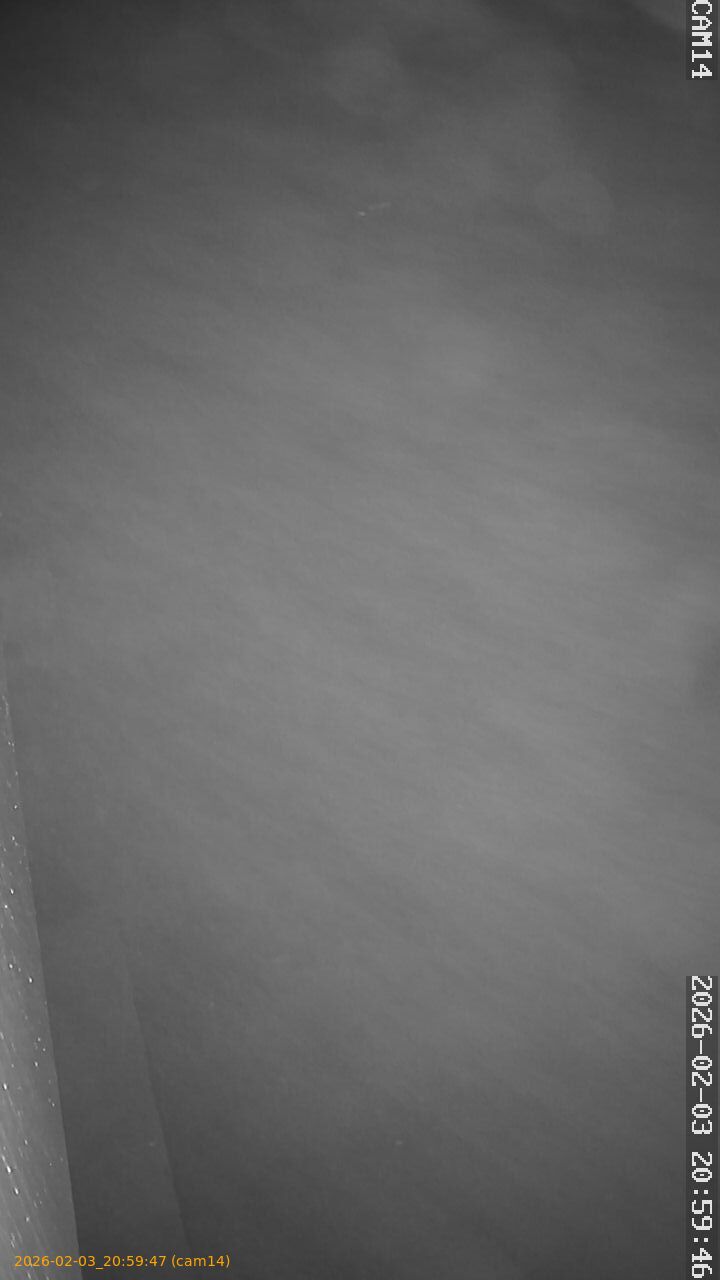 thumbnail_20260203205947