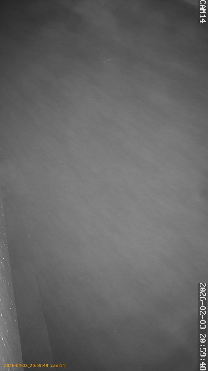 thumbnail_20260203205949