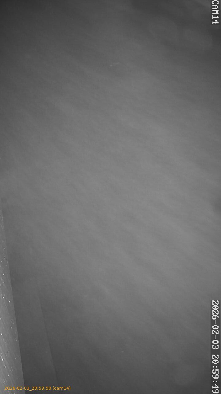 thumbnail_20260203205950