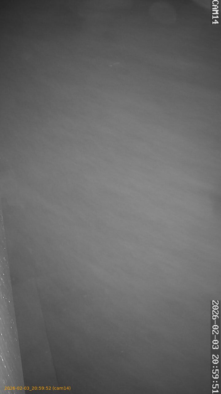 thumbnail_20260203205952