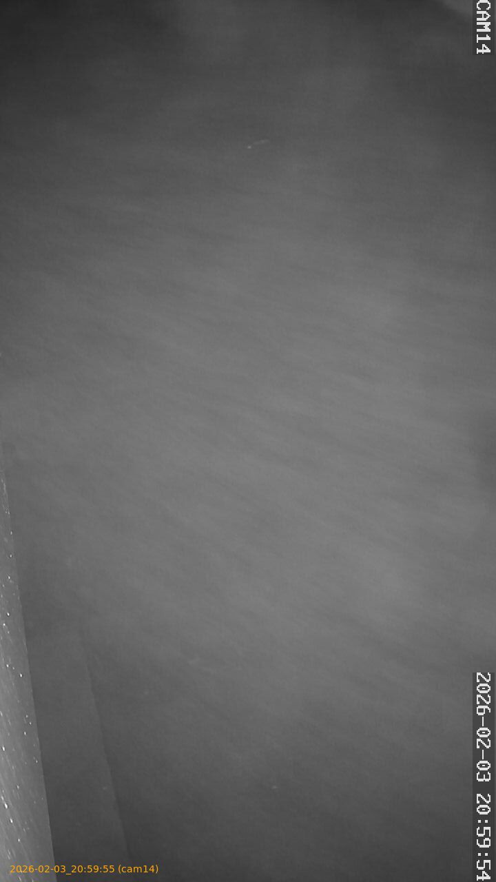 thumbnail_20260203205955