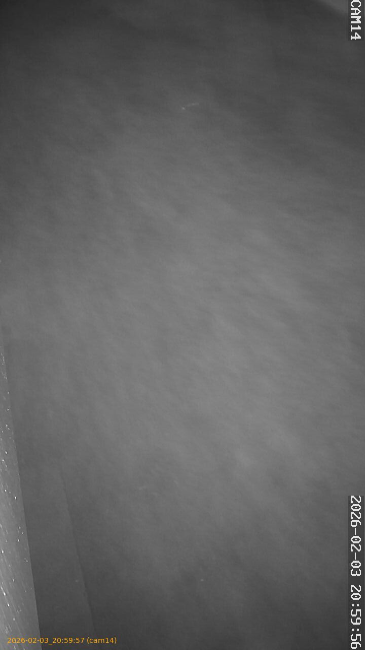 thumbnail_20260203205957