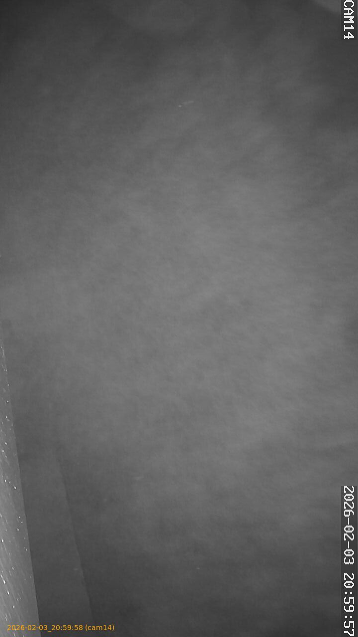 thumbnail_20260203205958