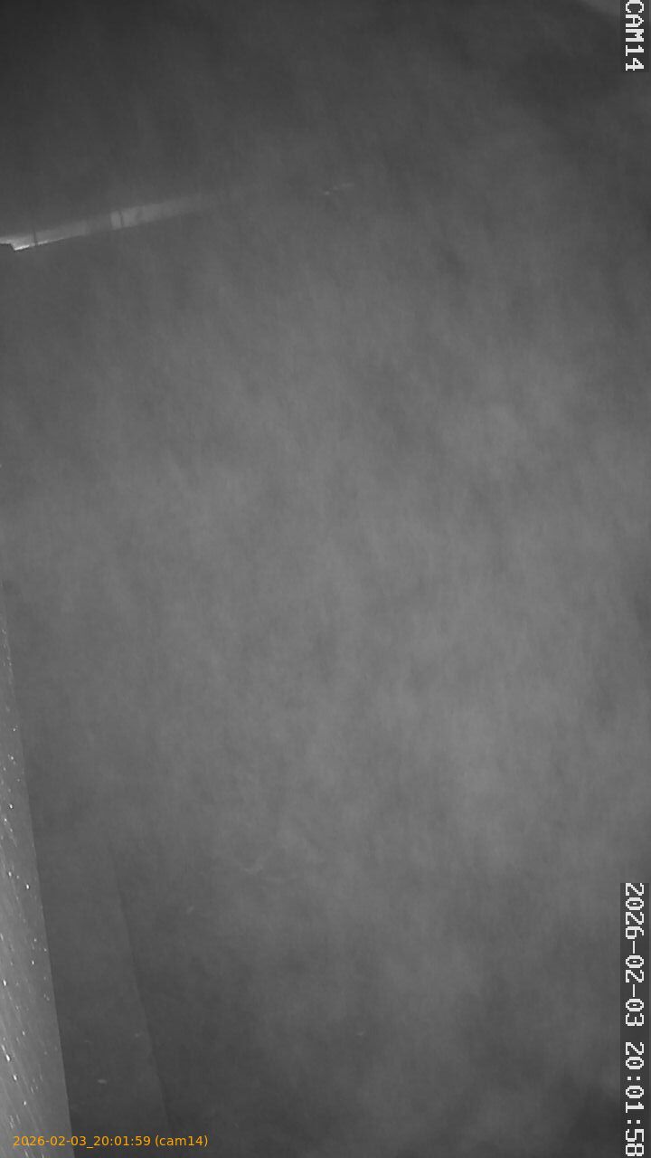 thumbnail_202602032001