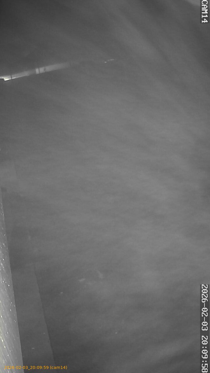 thumbnail_202602032009