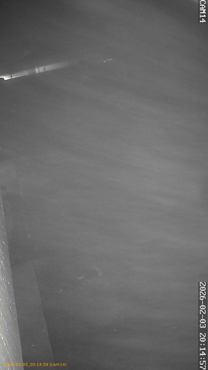 thumbnail_202602032014