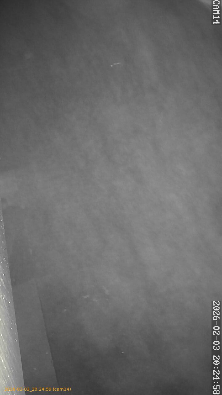 thumbnail_202602032024