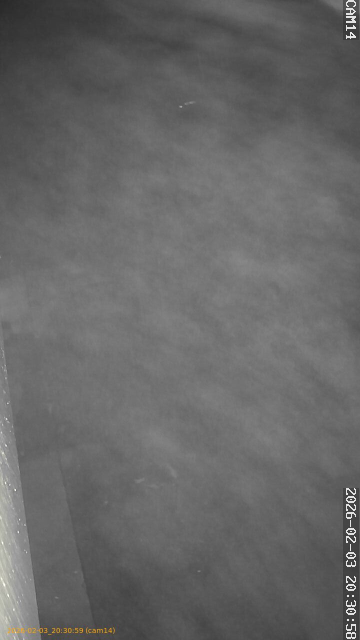 thumbnail_202602032030