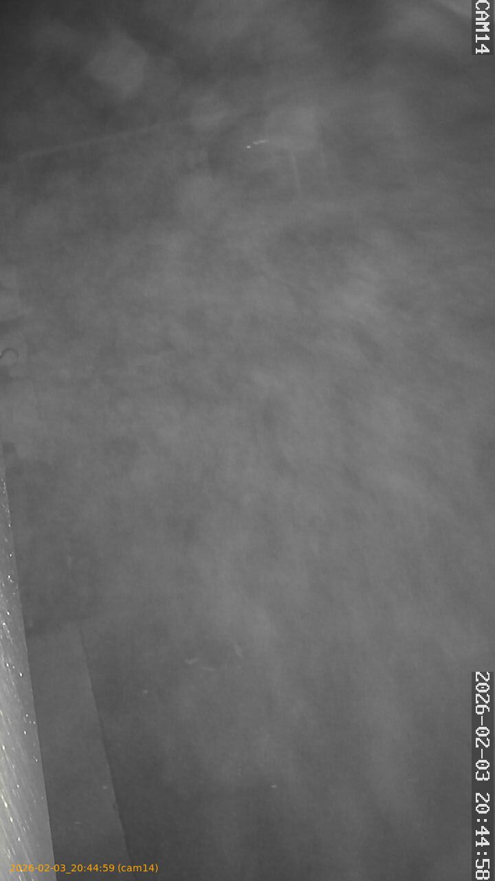 thumbnail_202602032044