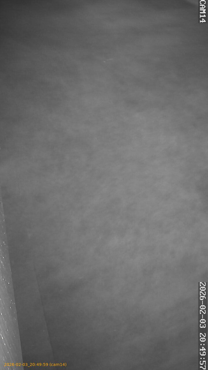 thumbnail_202602032049