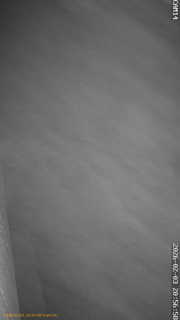 thumbnail_202602032056