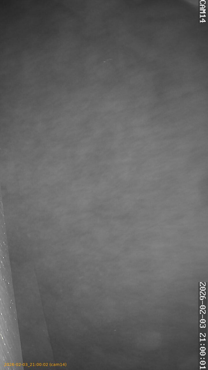 thumbnail_20260203210002