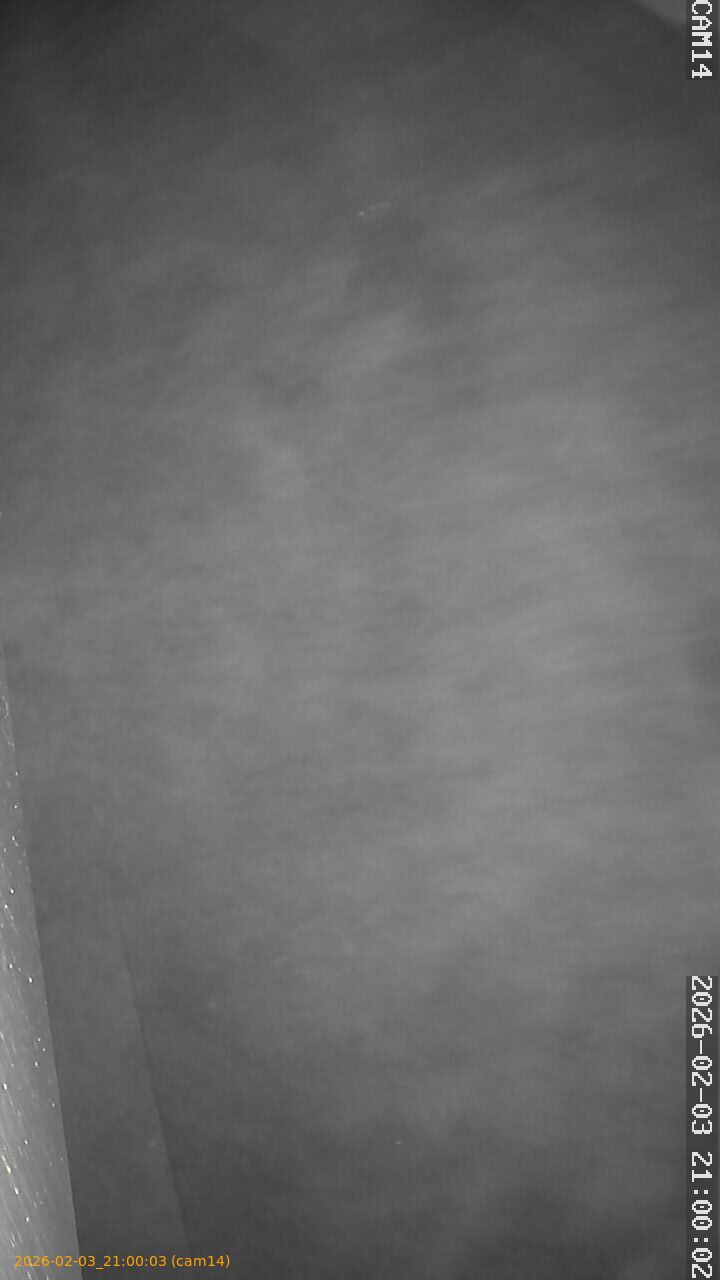 thumbnail_20260203210003