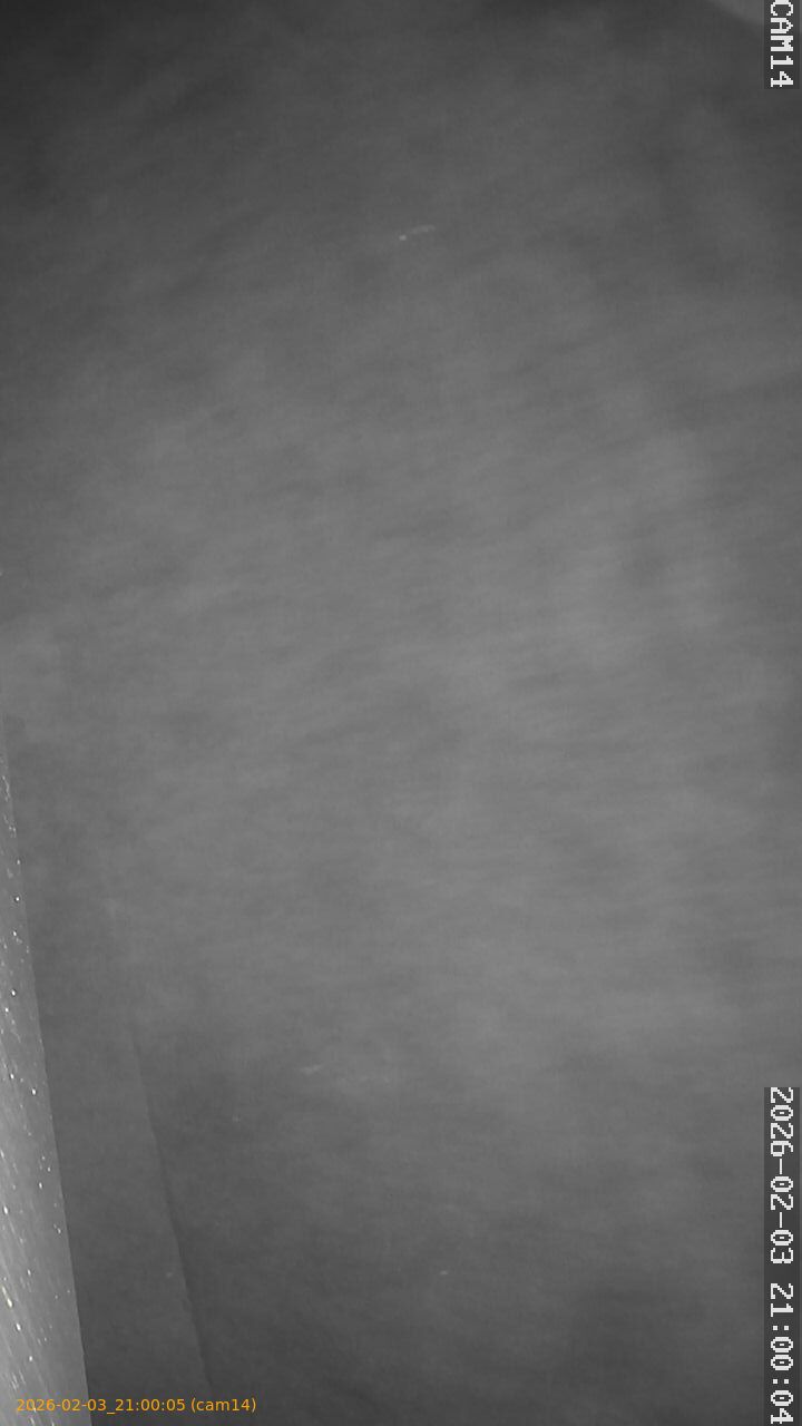 thumbnail_20260203210005