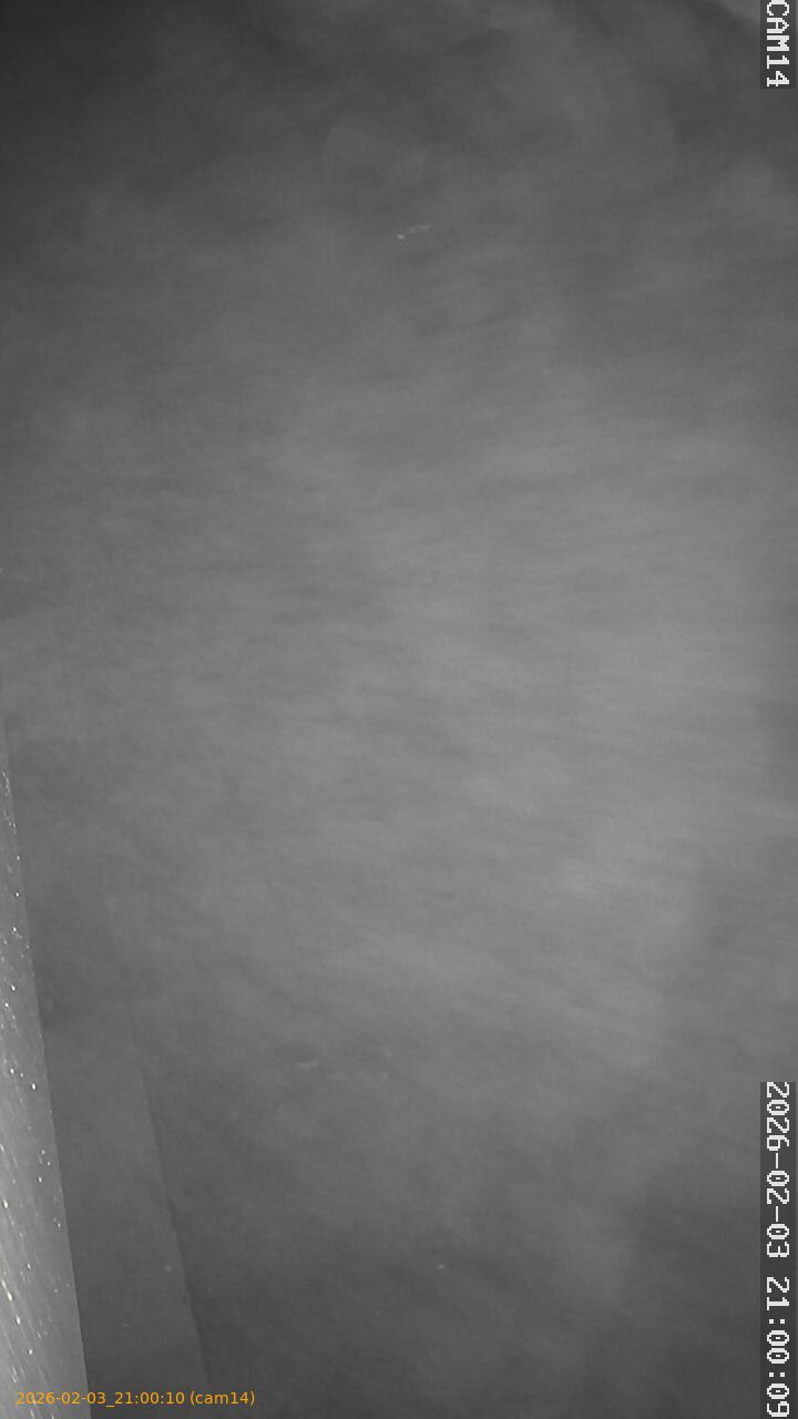 thumbnail_20260203210010