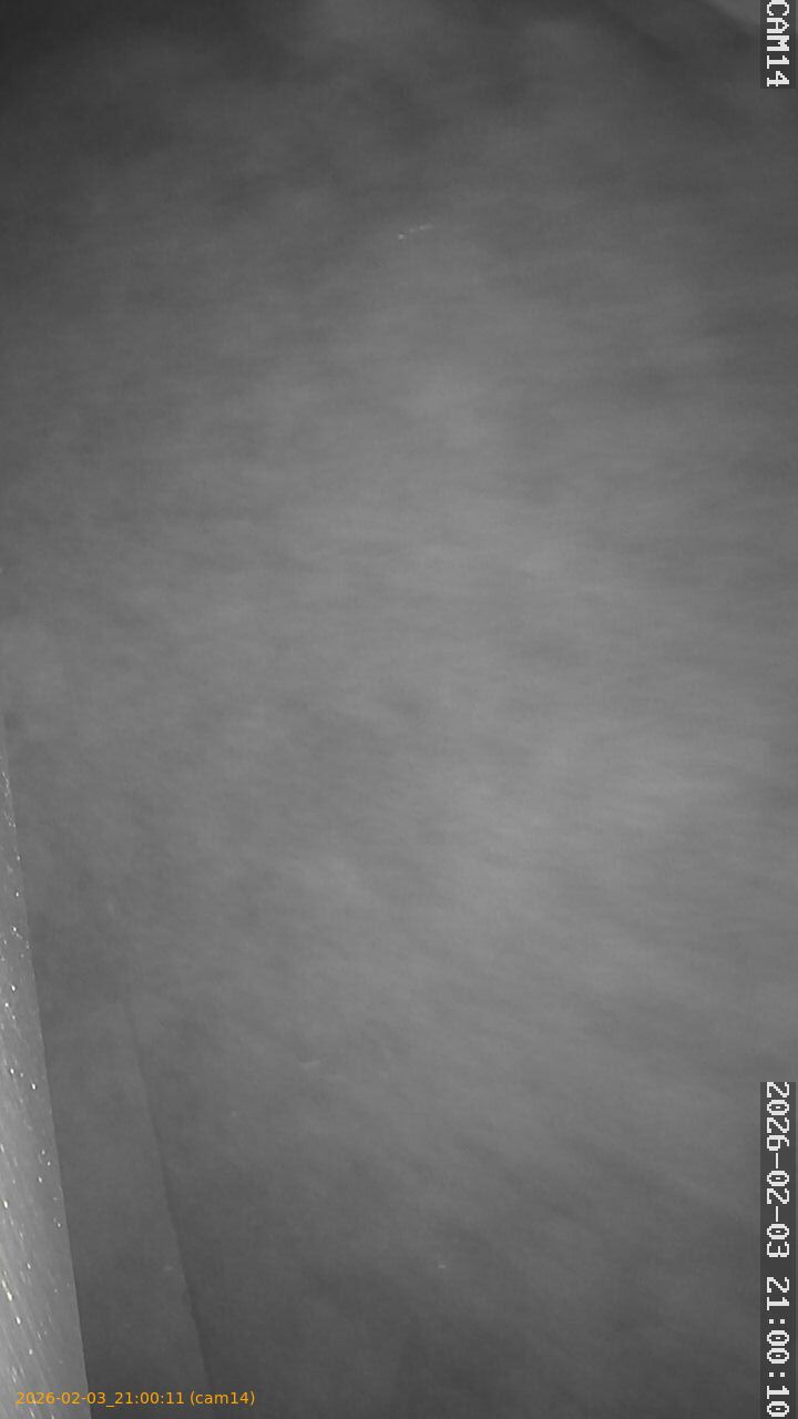 thumbnail_20260203210011