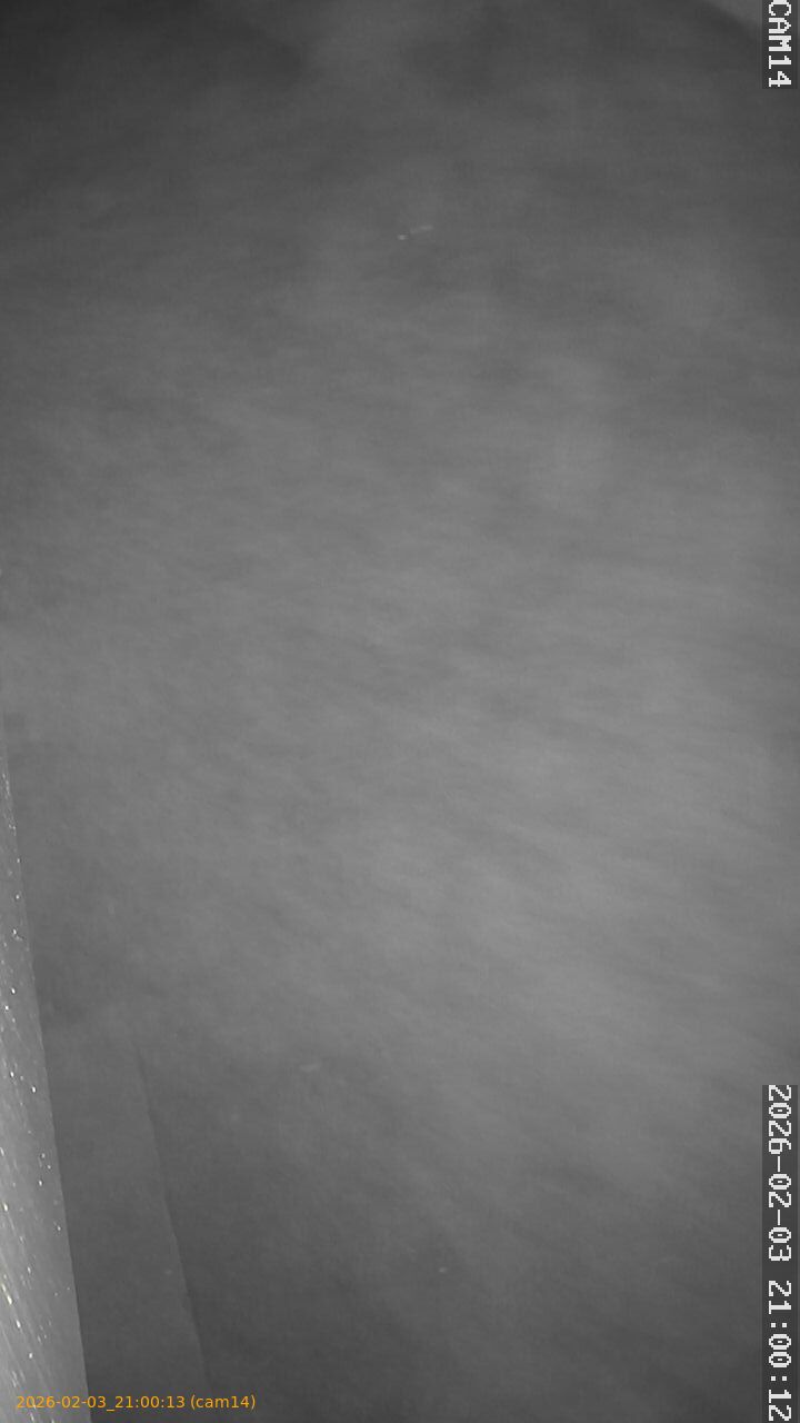 thumbnail_20260203210013