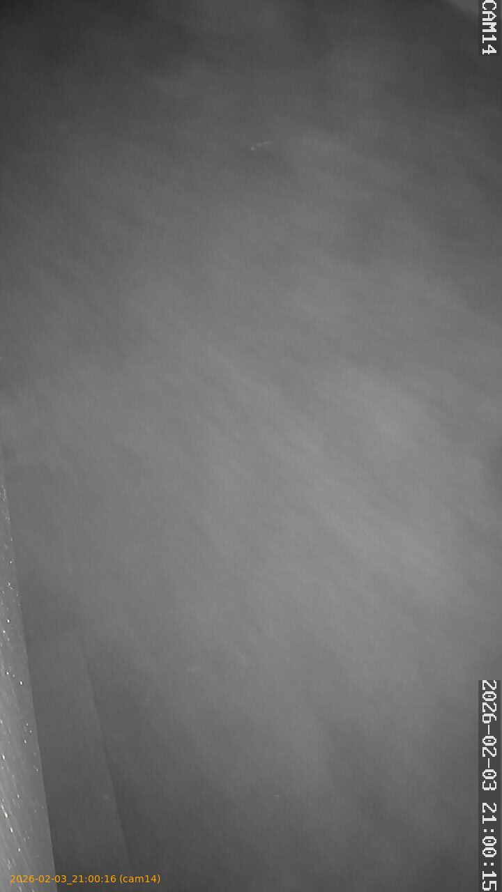 thumbnail_20260203210016