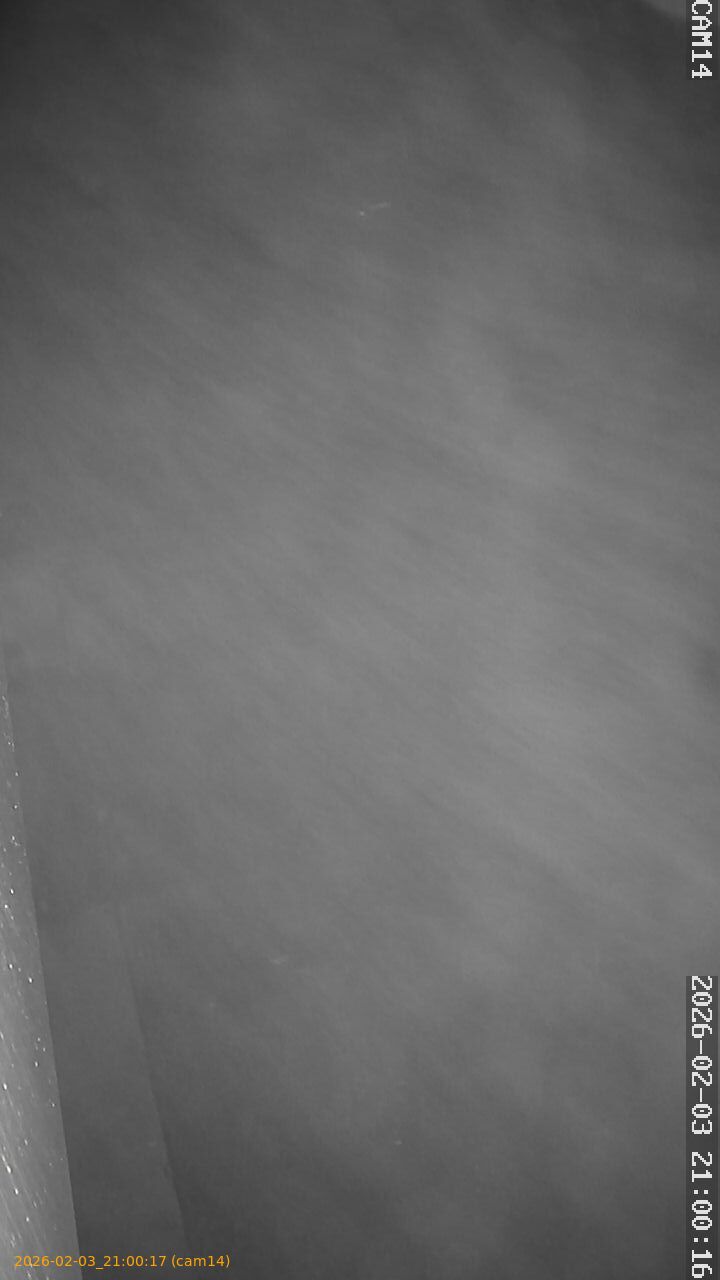 thumbnail_20260203210017