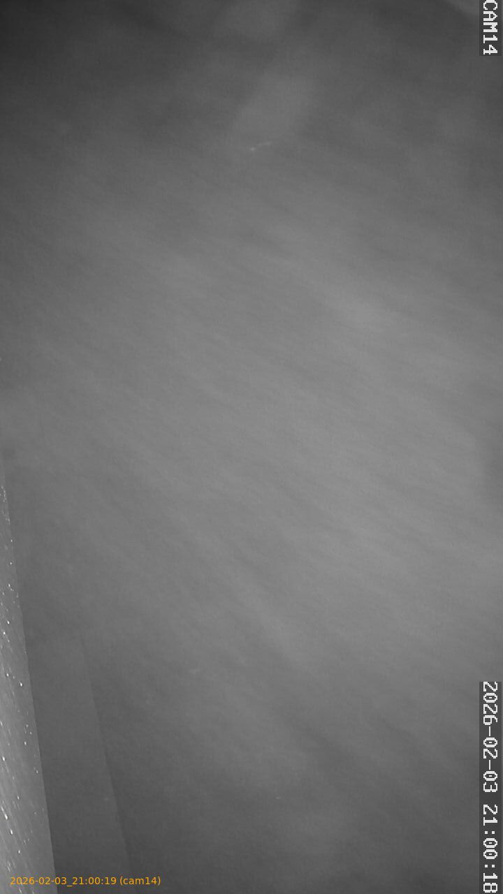 thumbnail_20260203210019