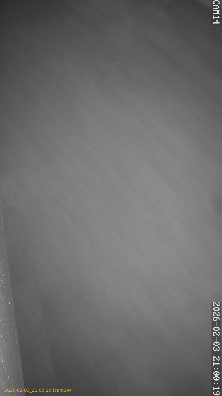 thumbnail_20260203210020