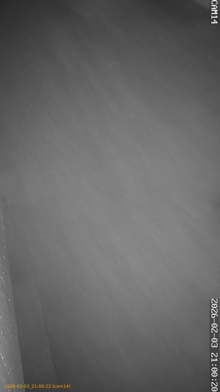 thumbnail_20260203210022