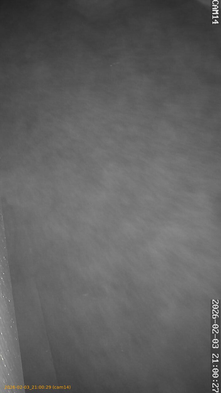 thumbnail_20260203210029