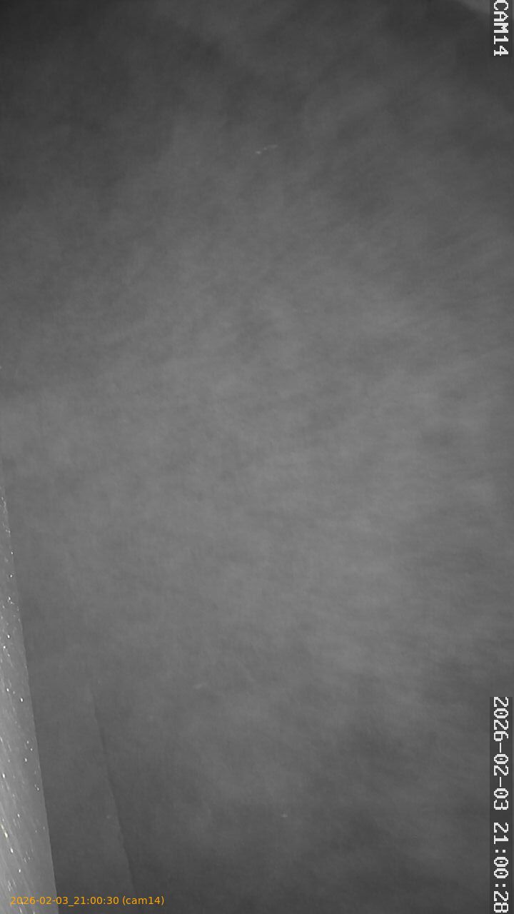 thumbnail_20260203210030