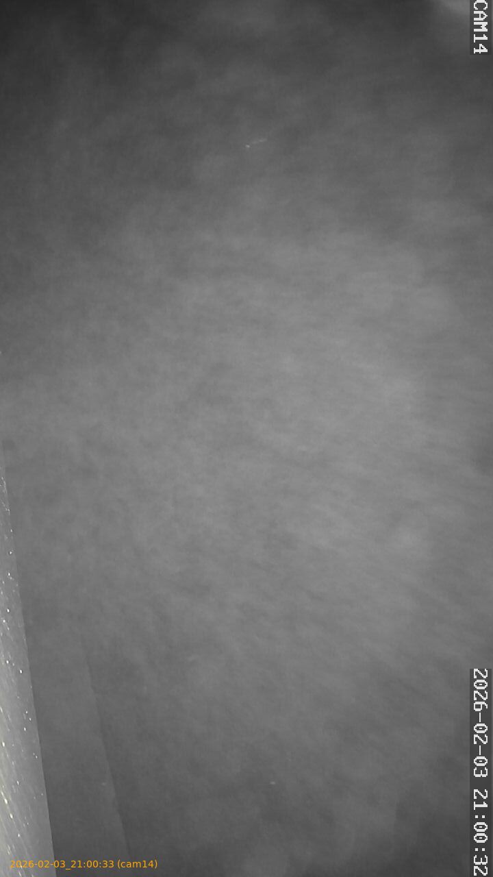 thumbnail_20260203210033