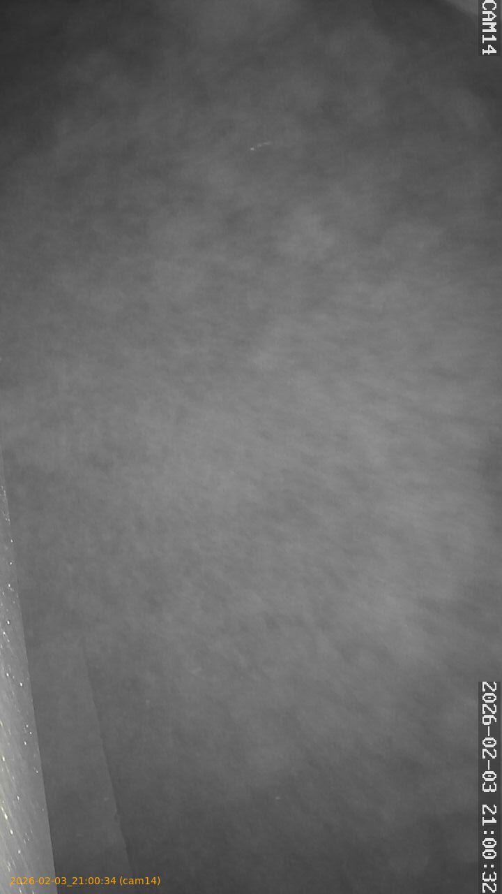 thumbnail_20260203210034