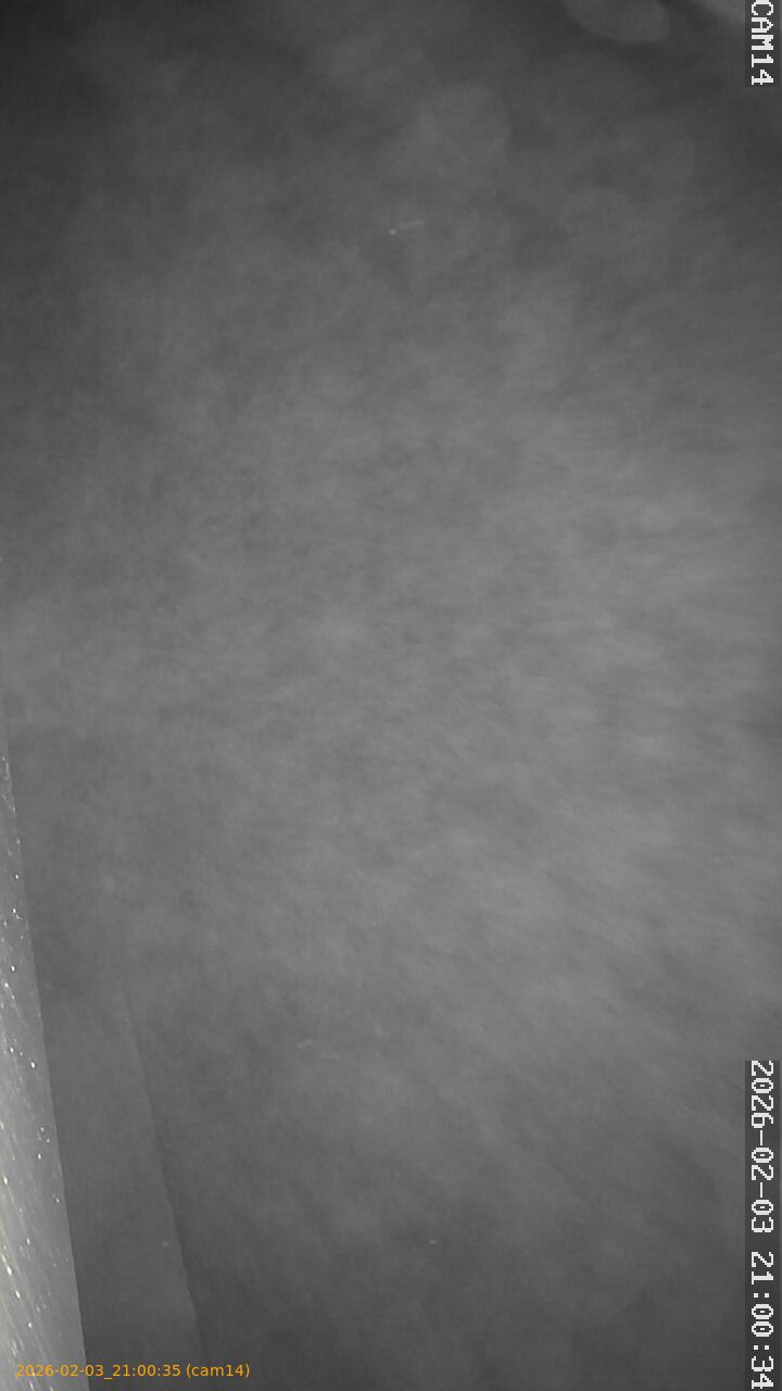 thumbnail_20260203210035