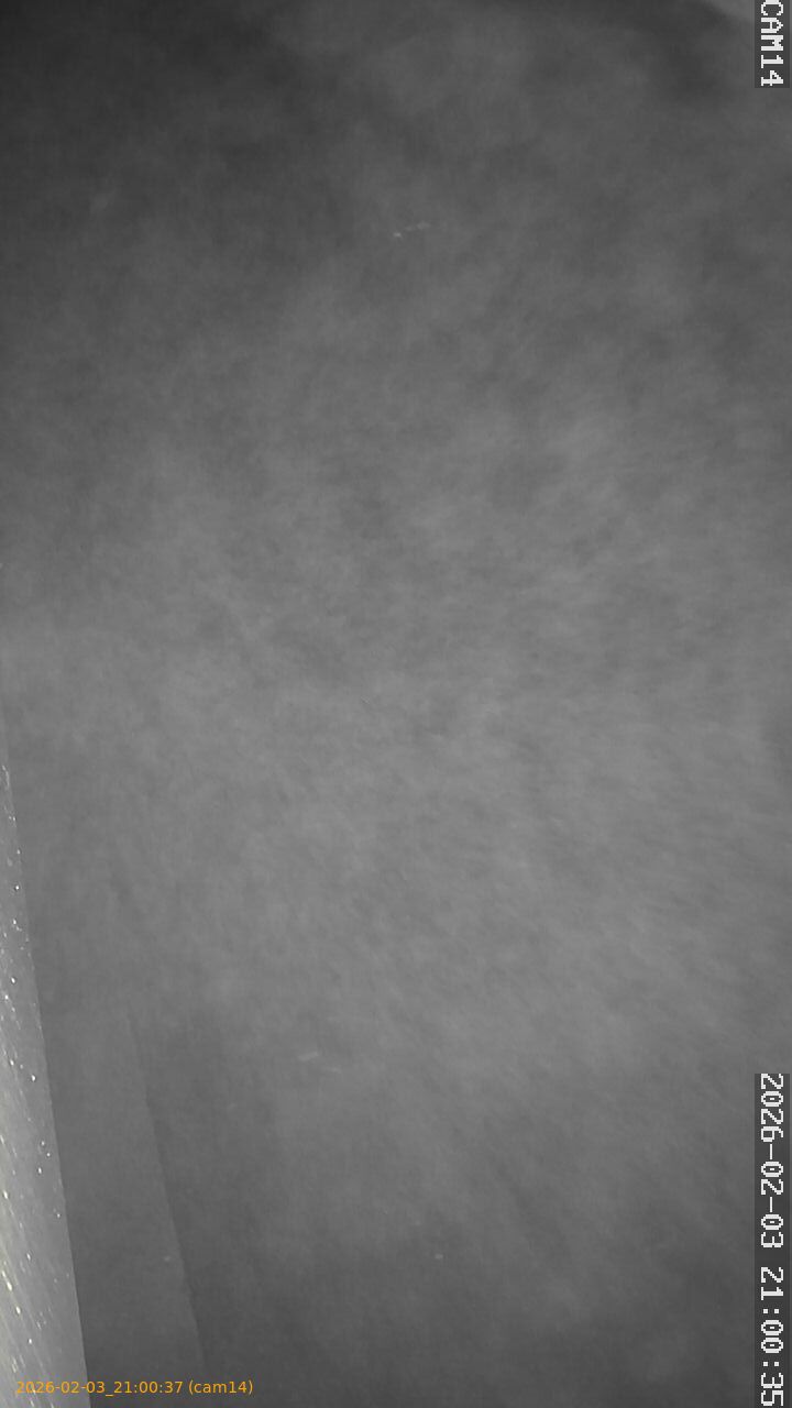 thumbnail_20260203210037