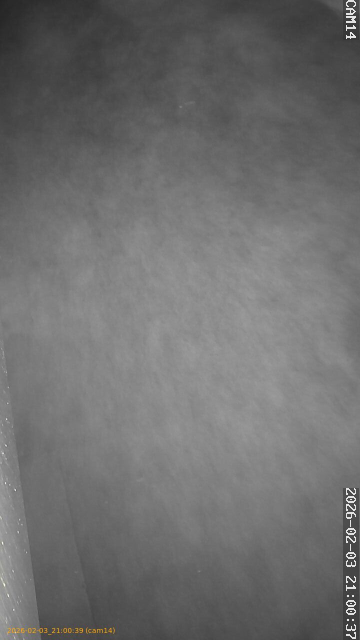 thumbnail_20260203210039