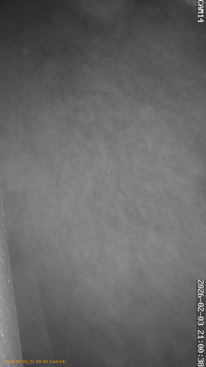 thumbnail_20260203210040