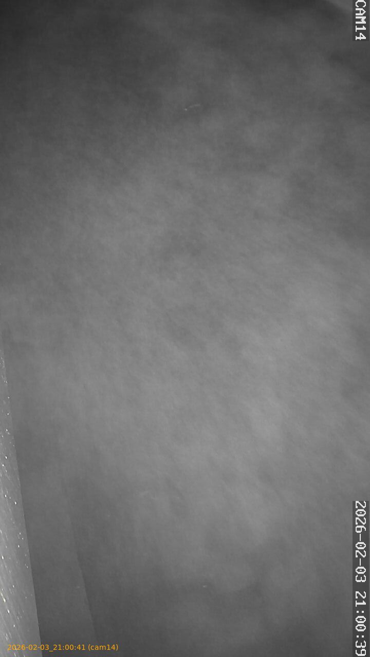 thumbnail_20260203210041