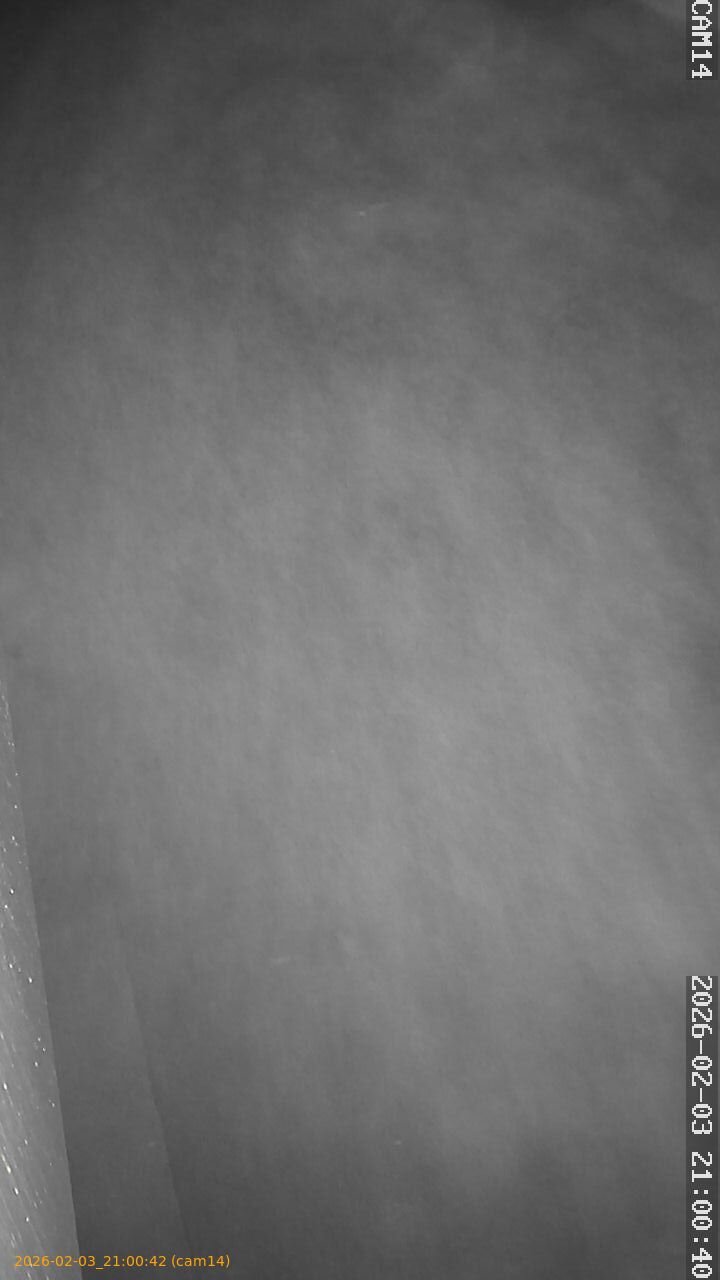 thumbnail_20260203210042